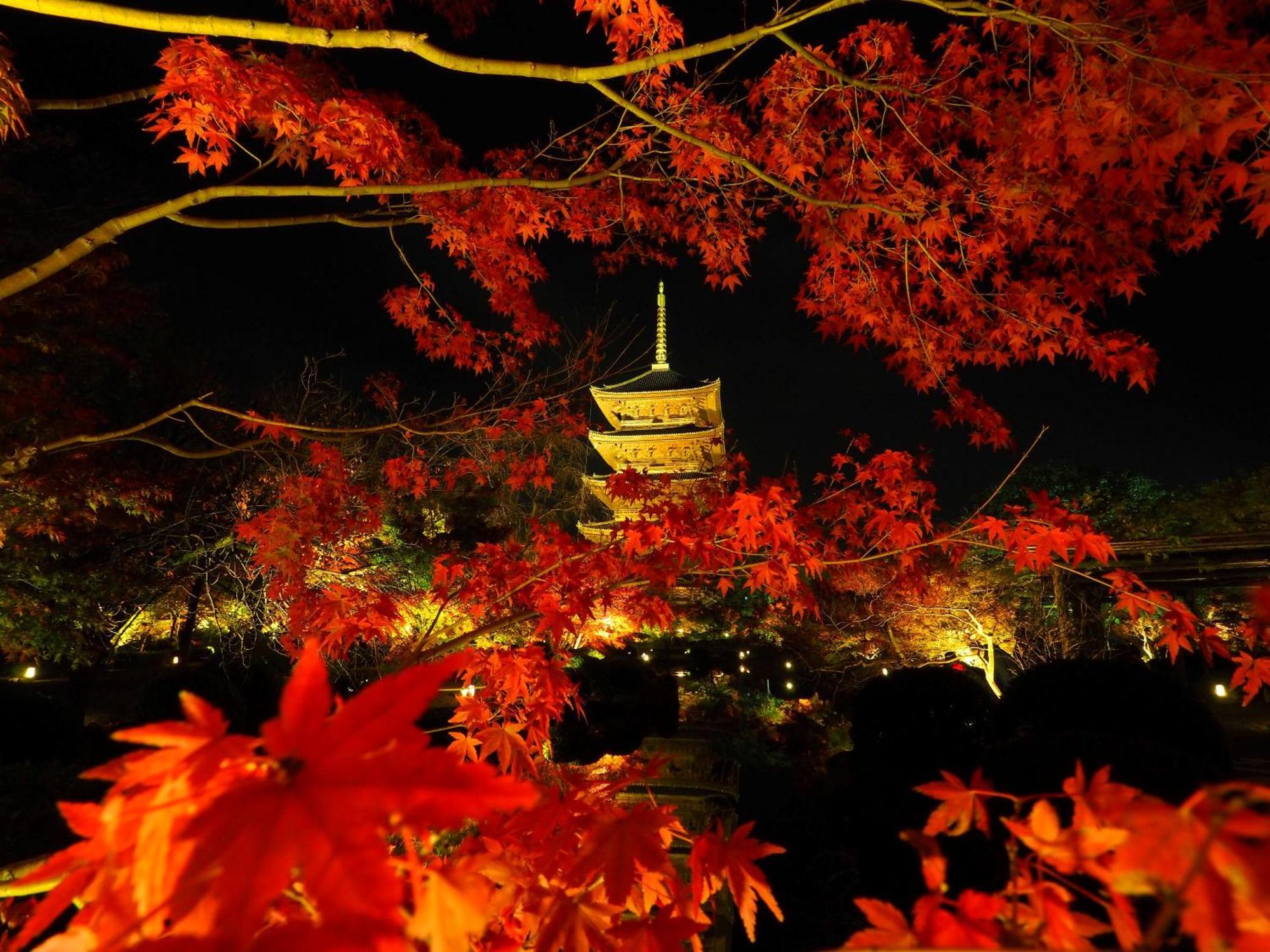 Stay Sakura Kyoto Higashi Hongan-Ji I Esterno foto