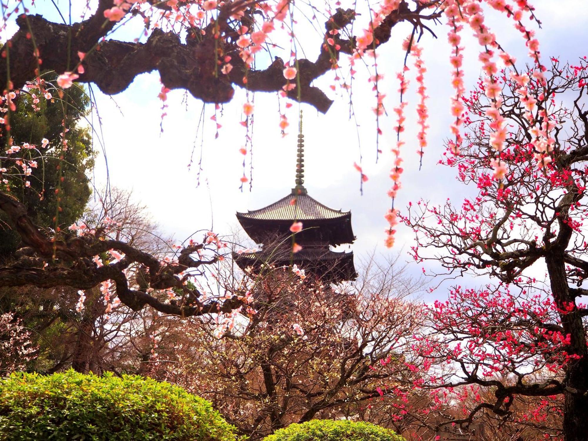 Stay Sakura Kyoto Higashi Hongan-Ji I Esterno foto