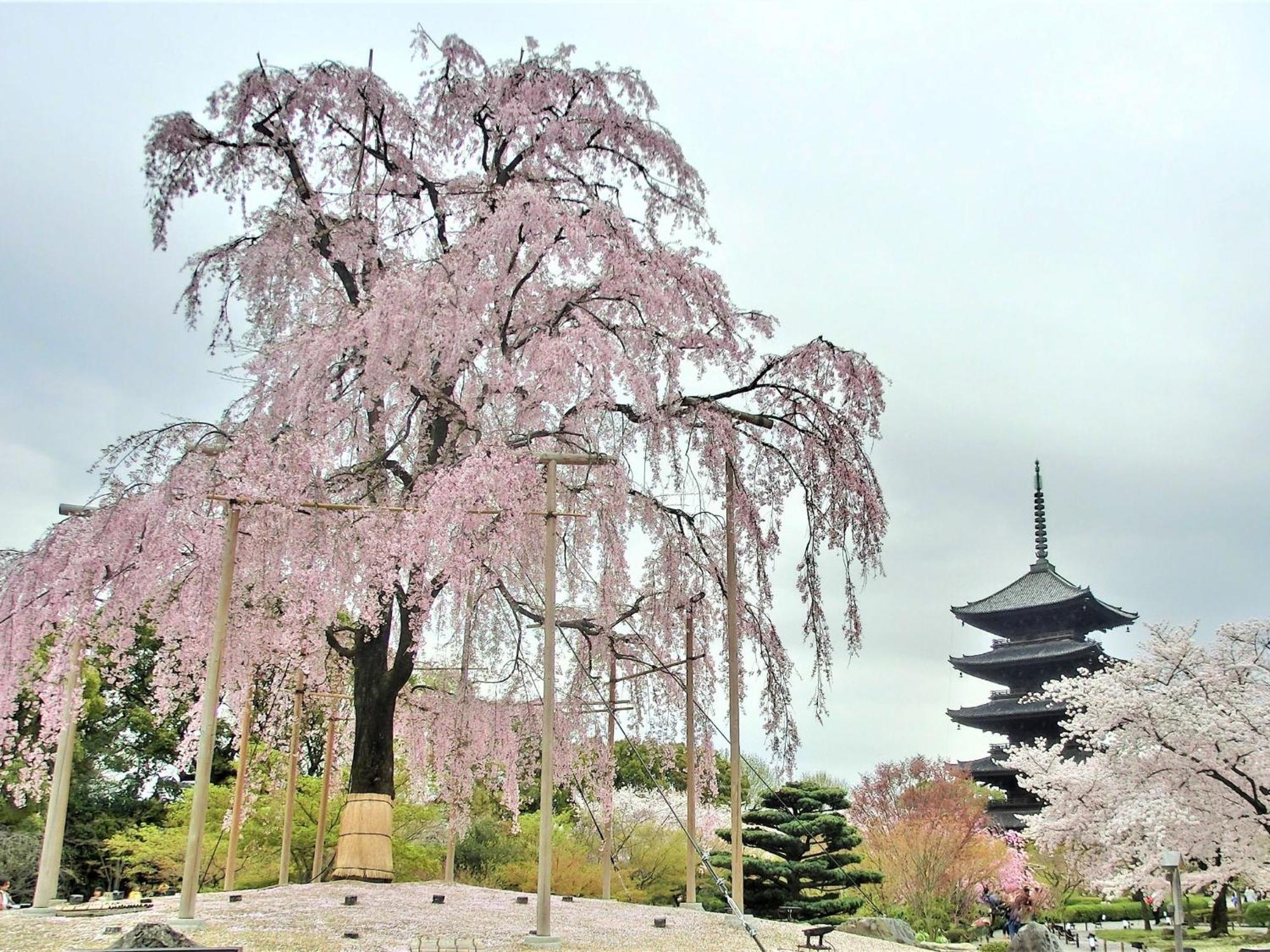 Stay Sakura Kyoto Higashi Hongan-Ji I Esterno foto
